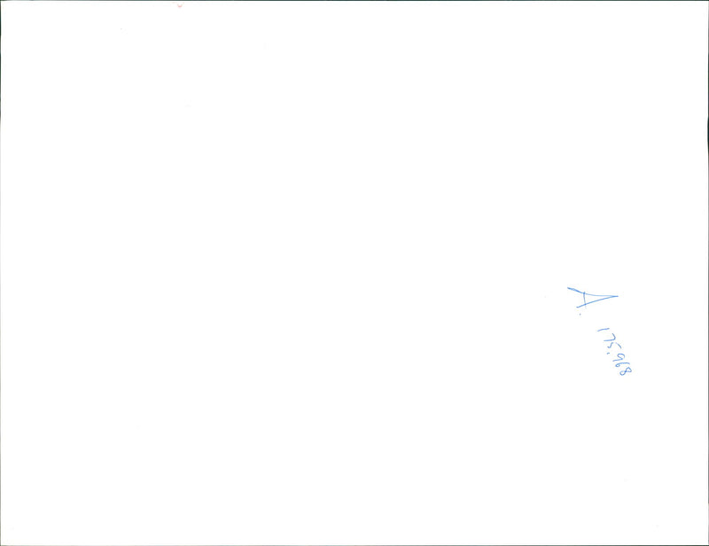 Bosnian War - Vintage Photograph