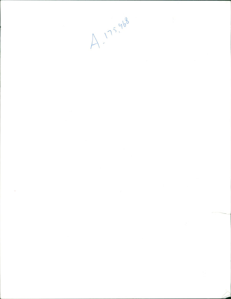 Bosnian War - Vintage Photograph