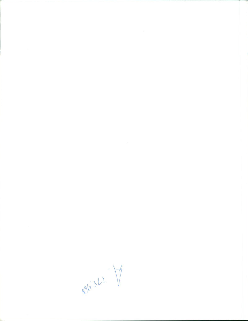 Bosnian War - Vintage Photograph