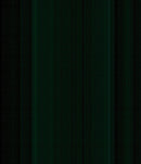 - Vintage Photograph