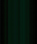 - Vintage Photograph