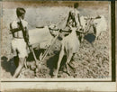 Bangla Desh Guerrillas Armed with sub-machined - Vintage Photograph