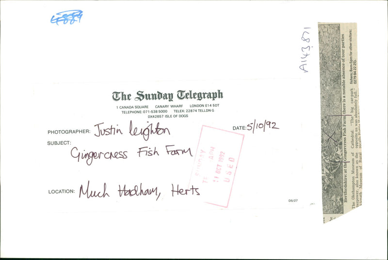 Fishing - Vintage Photograph