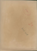 Brian Mitchell American football player - Vintage Photograph