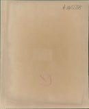 Brian Mitchell American football player - Vintage Photograph