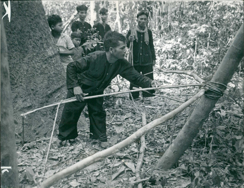 Trap preparing for enemy by a Viet Cong member during Vietnam War - Vintage Photograph