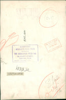 Sea lion - Vintage Photograph