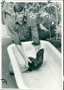 a man and Sea lion - Vintage Photograph