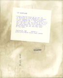 Sea lion - Vintage Photograph