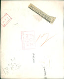 Sea lion - Vintage Photograph