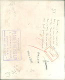 Sea lion - Vintage Photograph