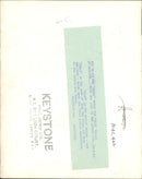 Sea lion - Vintage Photograph