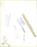 Sea lion - Vintage Photograph