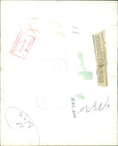 Sea lion - Vintage Photograph