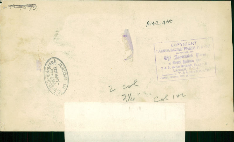 Sea lion - Vintage Photograph