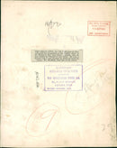 Sea lion - Vintage Photograph