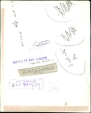 Sea lion - Vintage Photograph