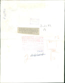 Hippopotamus - Vintage Photograph