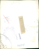 Hippopotamus - Vintage Photograph