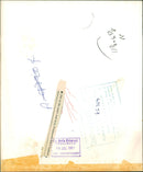 Hippopotamus - Vintage Photograph