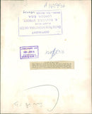 Hippopotamus - Vintage Photograph