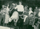 Camel and lamb animals at the circus in ÃrnskÃ¶ldsvik - Vintage Photograph