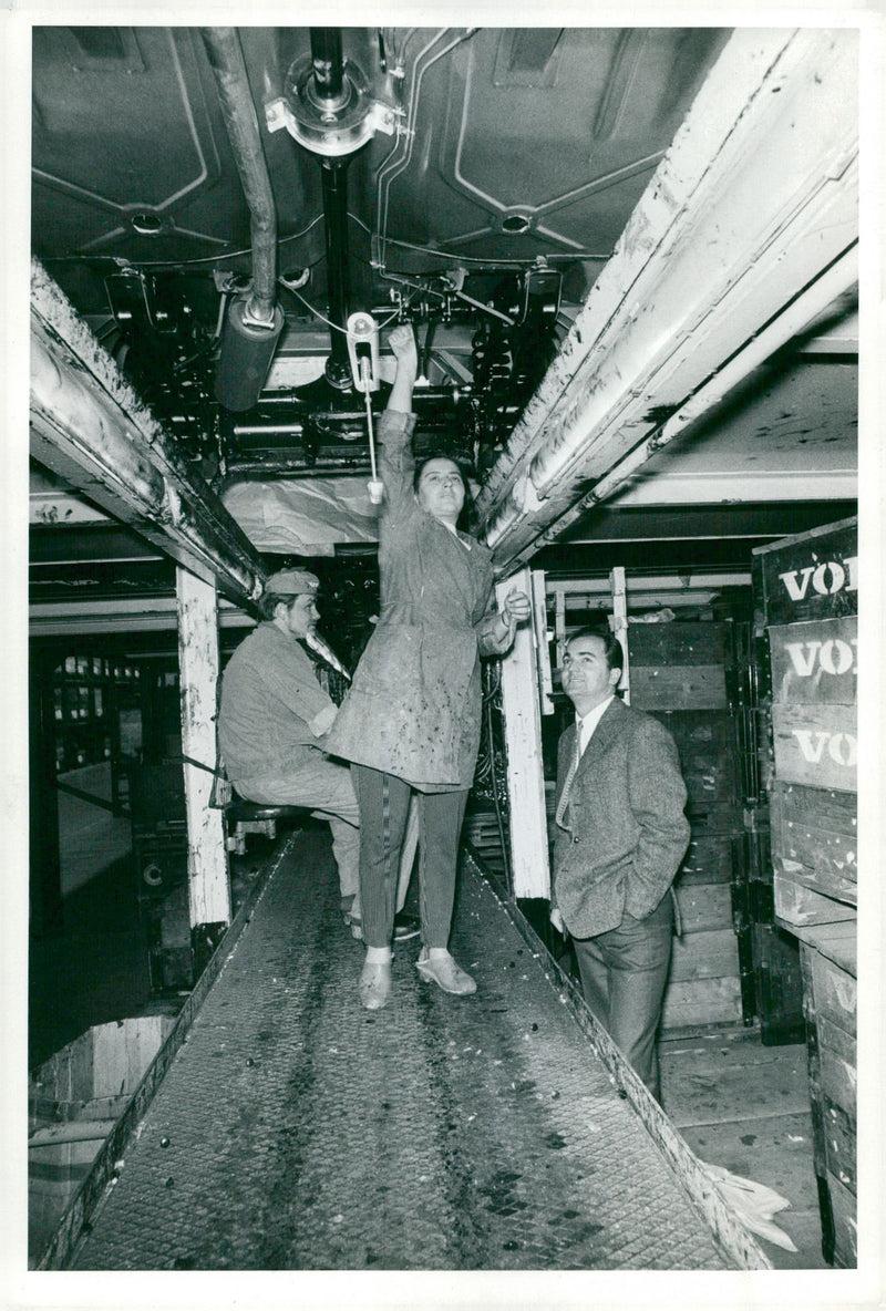 GREECE CHEFS POLEDIS HOGER OUT BAND VOLVO UNDER SVEN HIS DAHLBE INSPECTION - Vintage Photograph