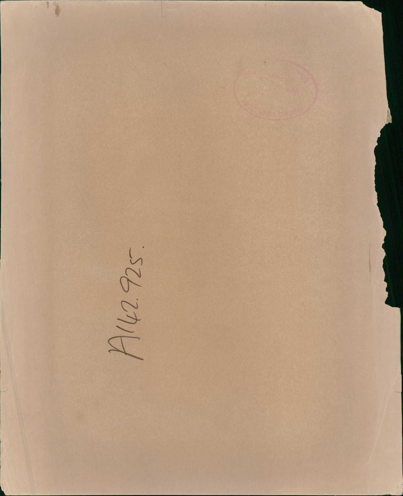 Ford Models Modeling agency company - Vintage Photograph