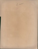 Kylie Minogue - Vintage Photograph