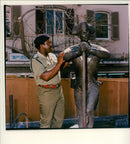 Image of Military - Vintage Photograph