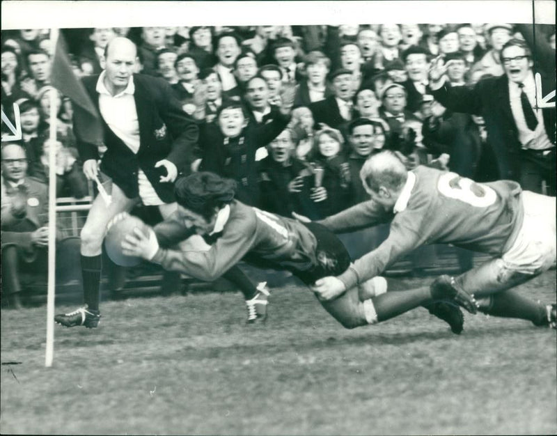 Gerald Davies Welsh rugby player - Vintage Photograph