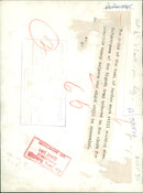 The German War - Vintage Photograph