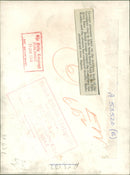 The German War - Vintage Photograph