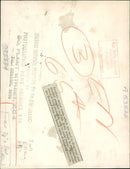 The German War: - Vintage Photograph