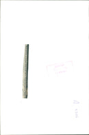 The German War - Vintage Photograph