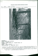 The German War - Vintage Photograph