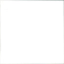 The German War - Vintage Photograph