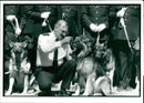 Police dog - Vintage Photograph