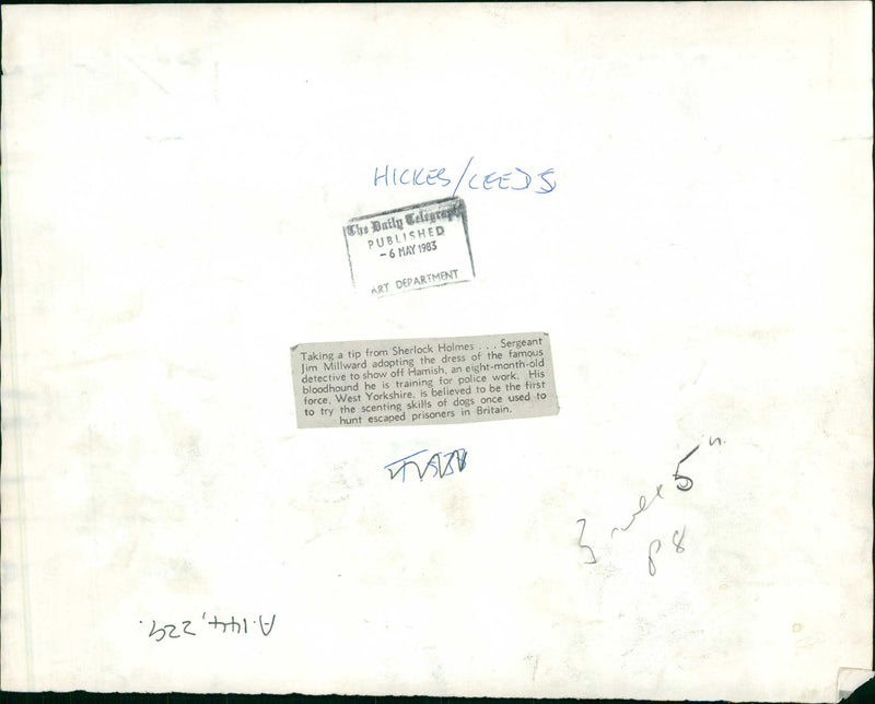 Police dog - Vintage Photograph