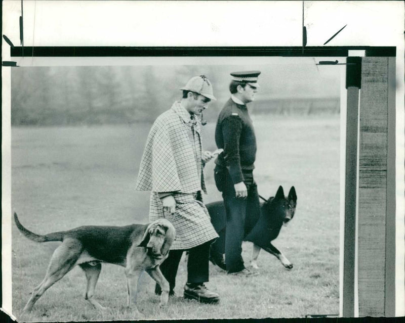 Police dog - Vintage Photograph