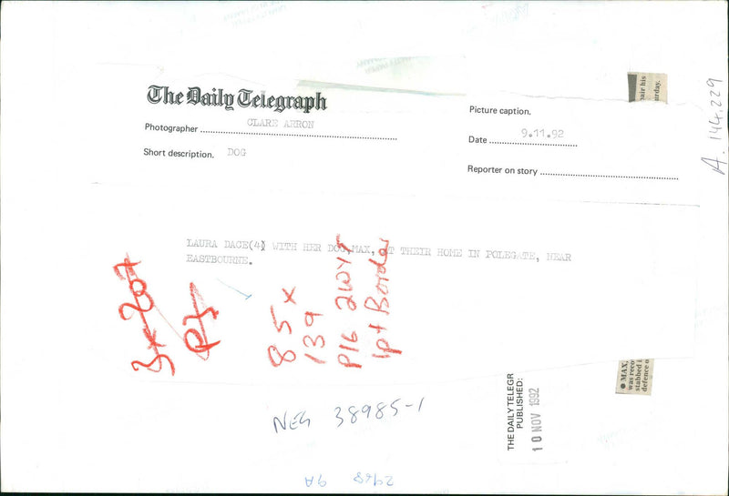 Police dog - Vintage Photograph