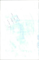 Police dog - Vintage Photograph