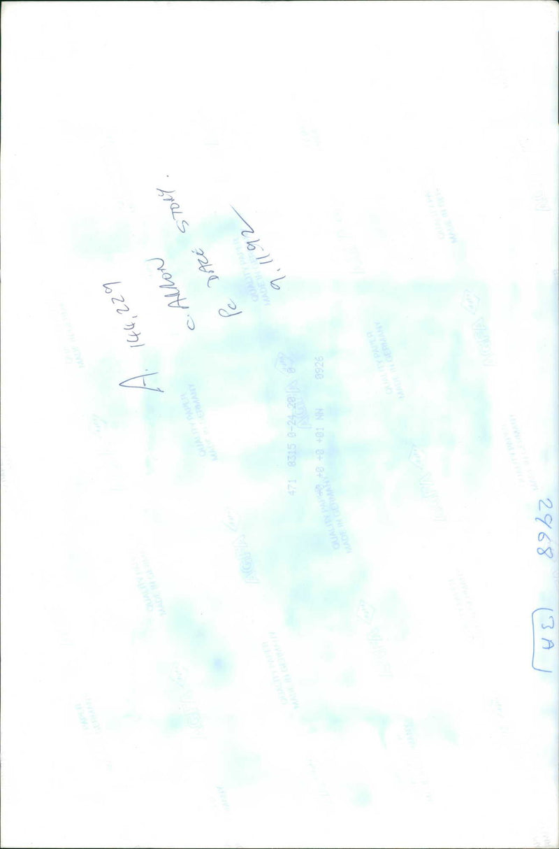 Police dog - Vintage Photograph