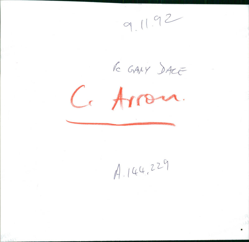 Police dog - Vintage Photograph