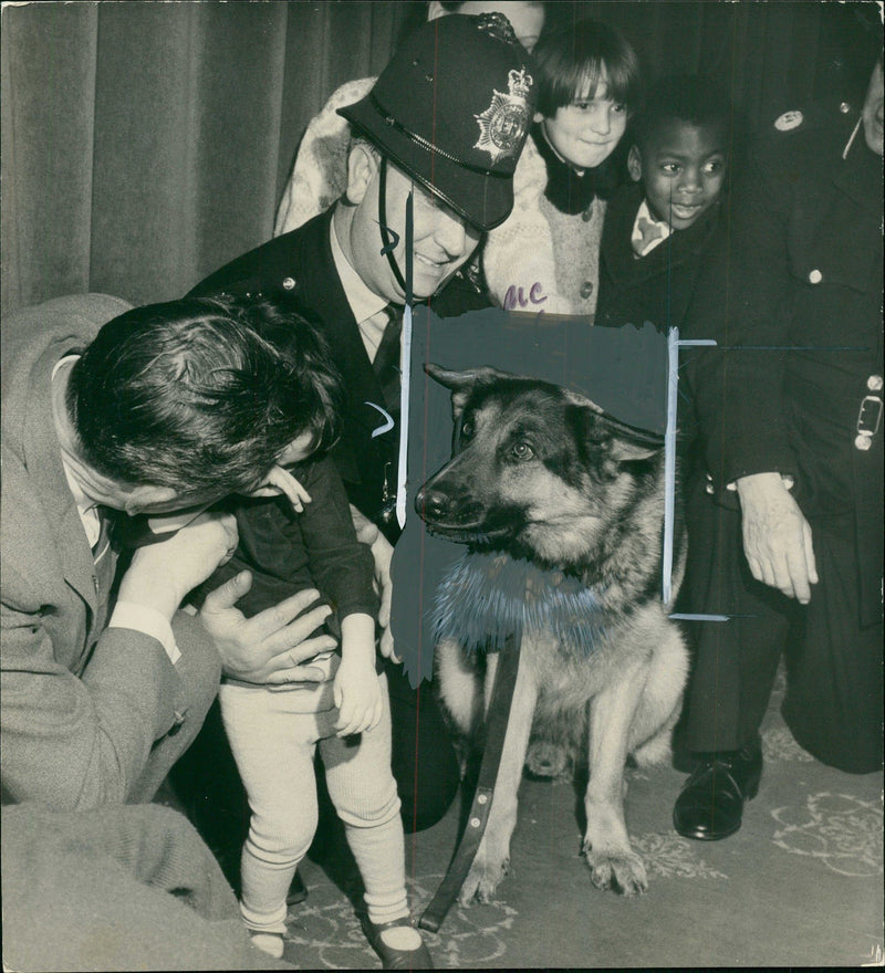 Police dog - Vintage Photograph