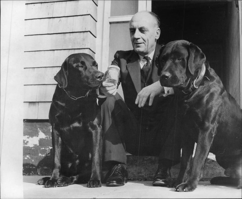 Police dog - Vintage Photograph