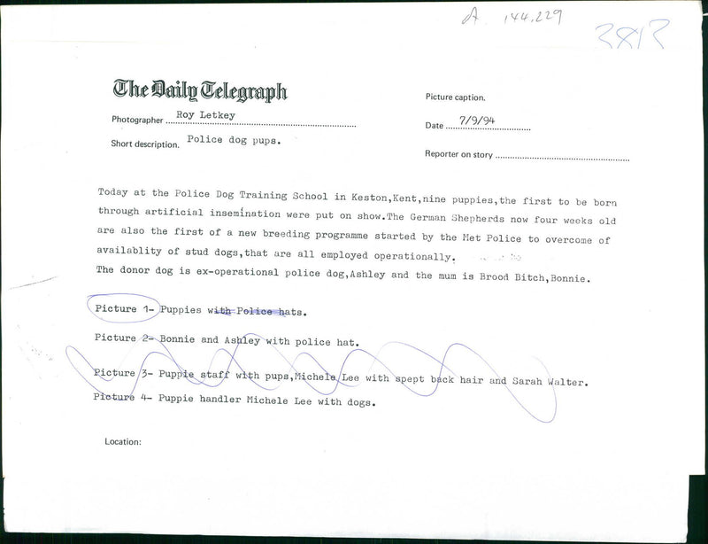 Police dog - Vintage Photograph