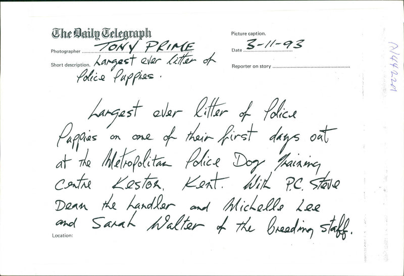 Police dog - Vintage Photograph