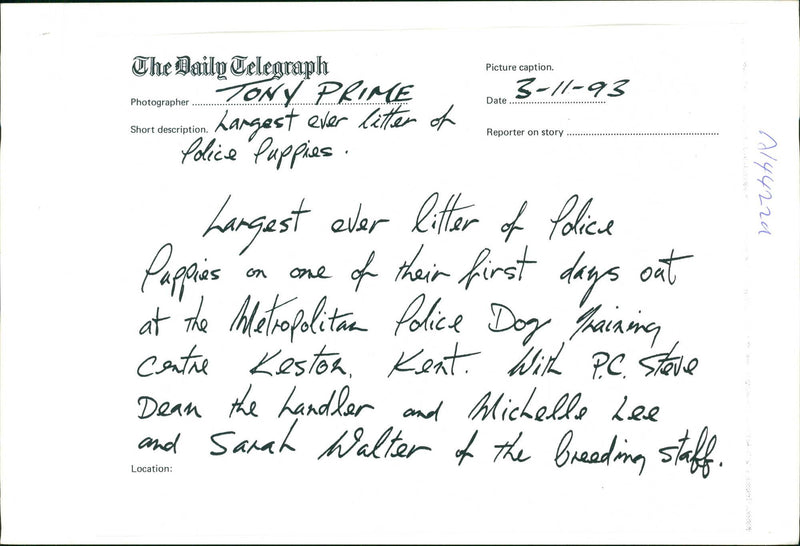 Police dog - Vintage Photograph