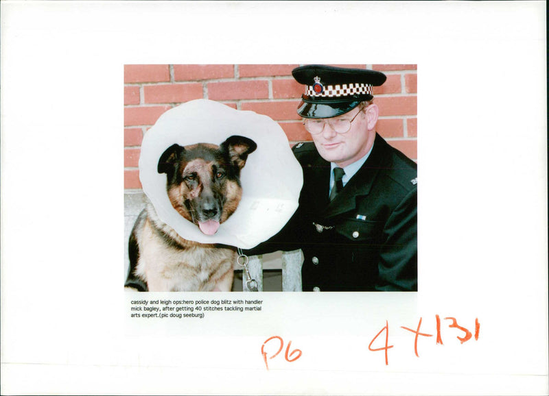 Police dog - Vintage Photograph